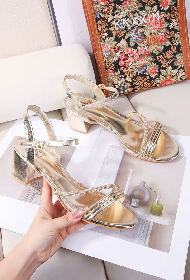 dms313-51