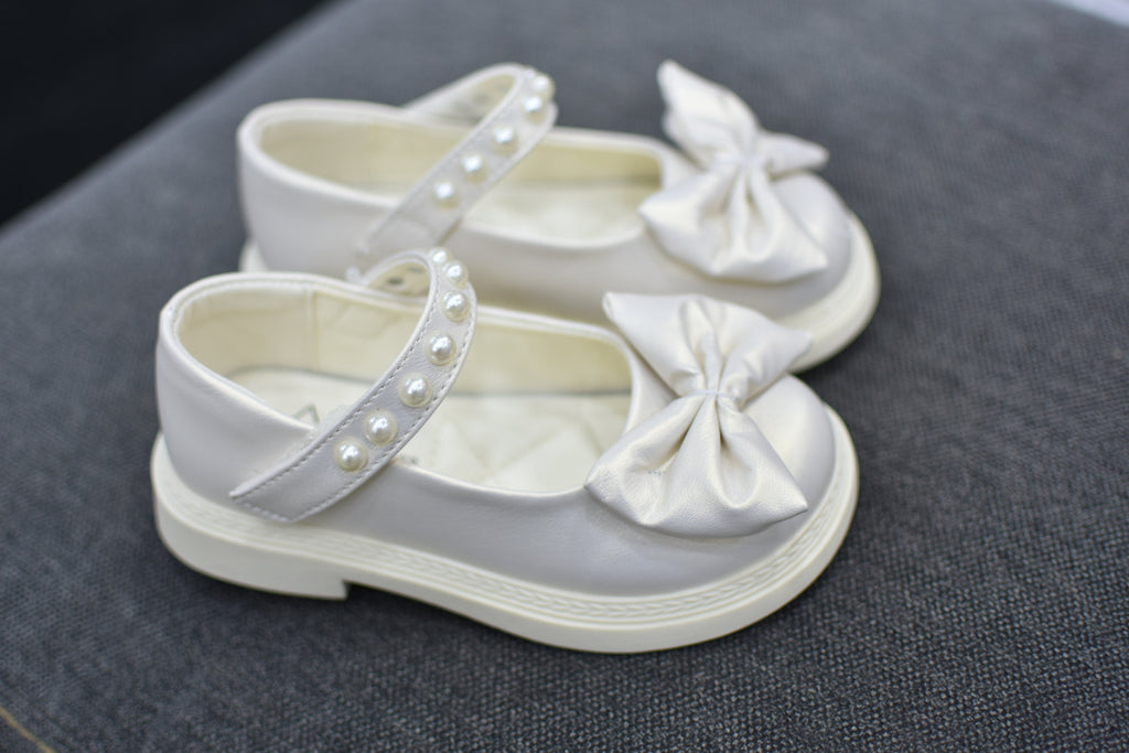 5505papillon