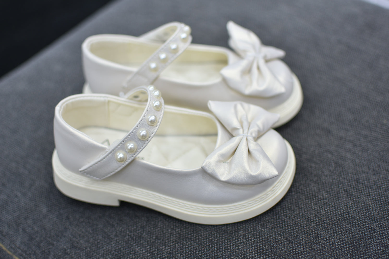 5505papillon