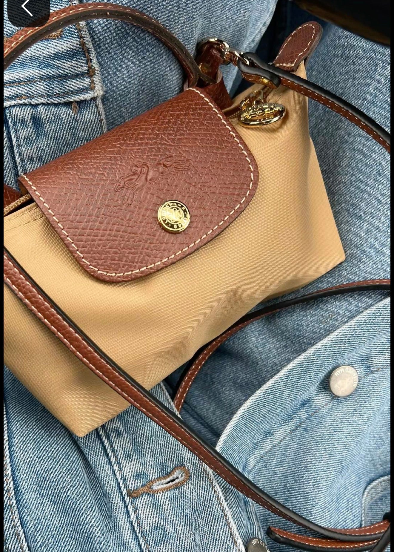 Mini longchamps