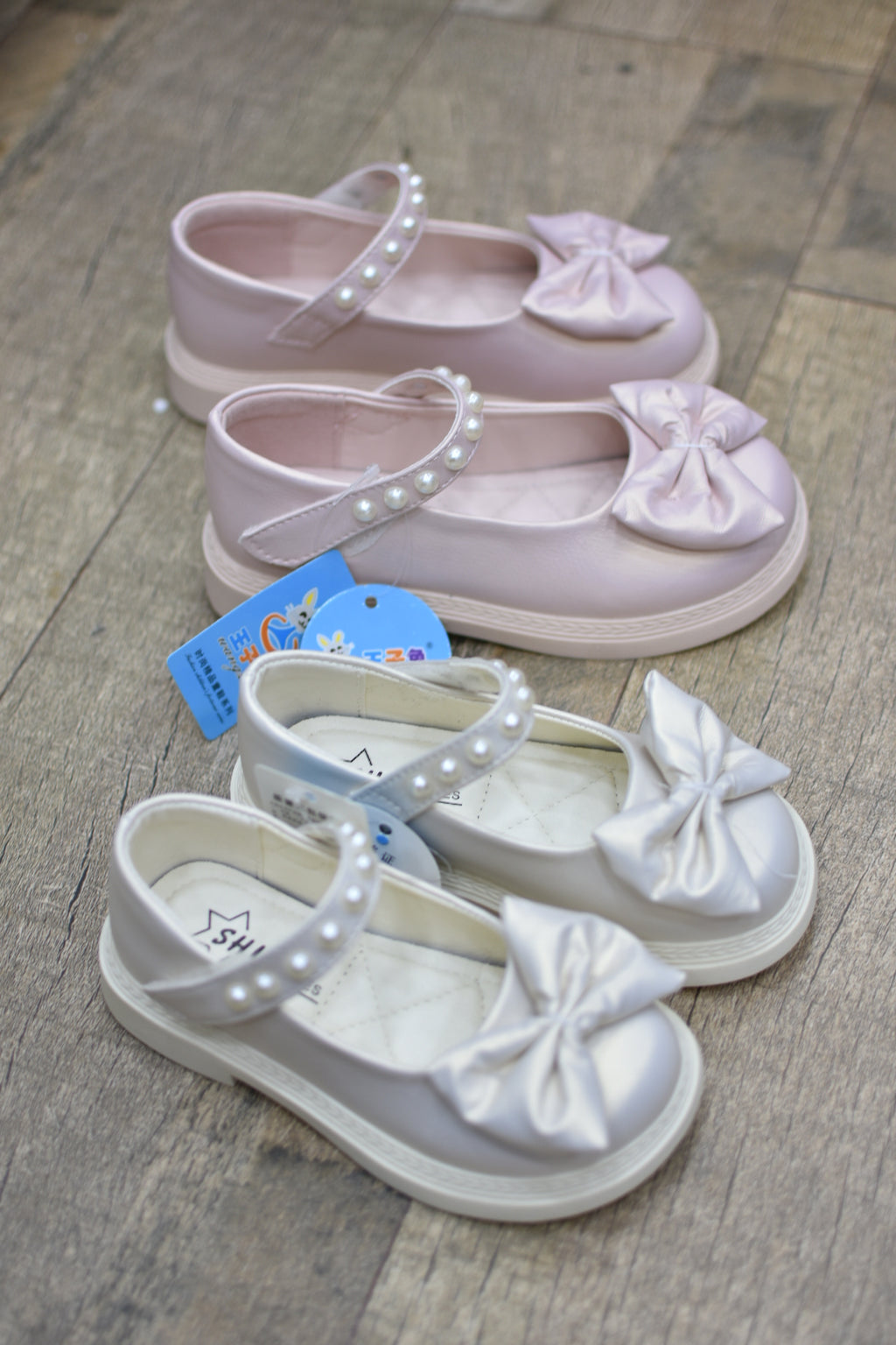 5505papillon