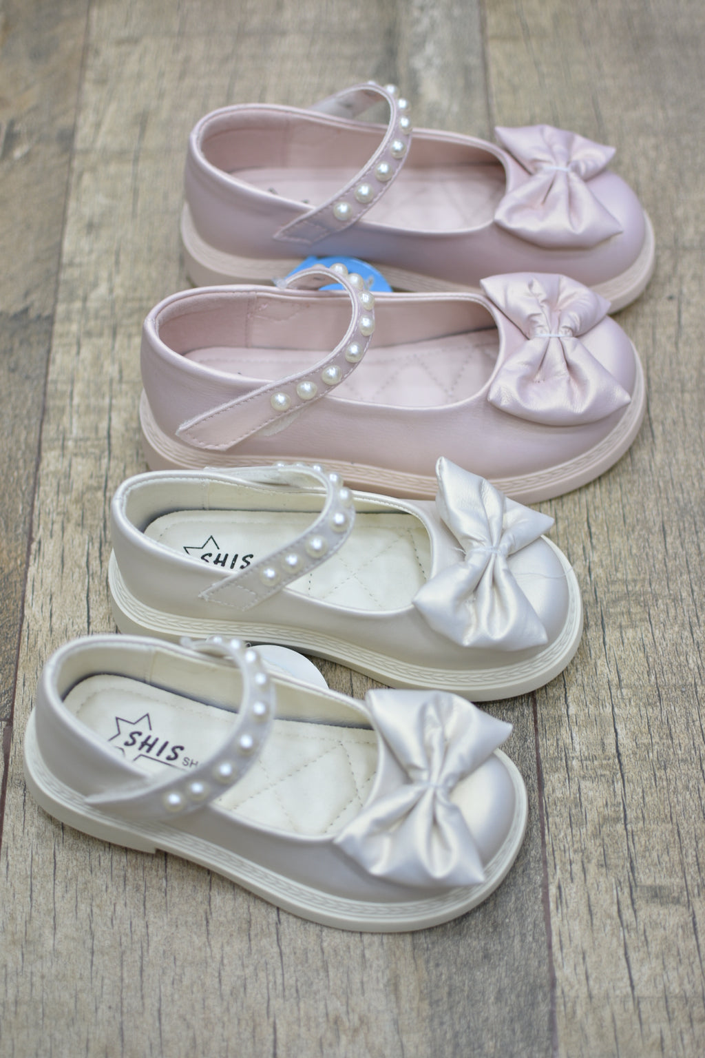 5505papillon