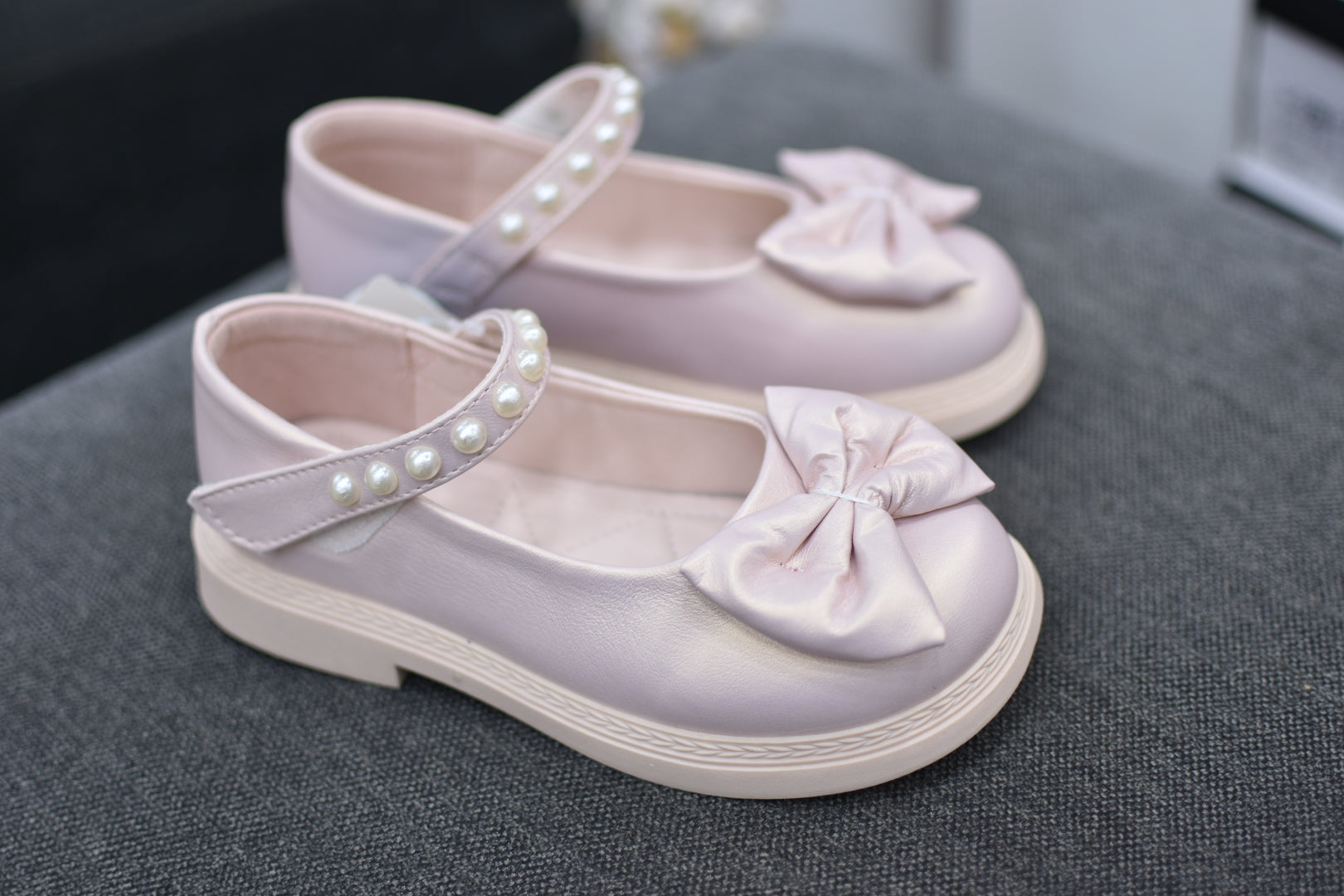 5505papillon