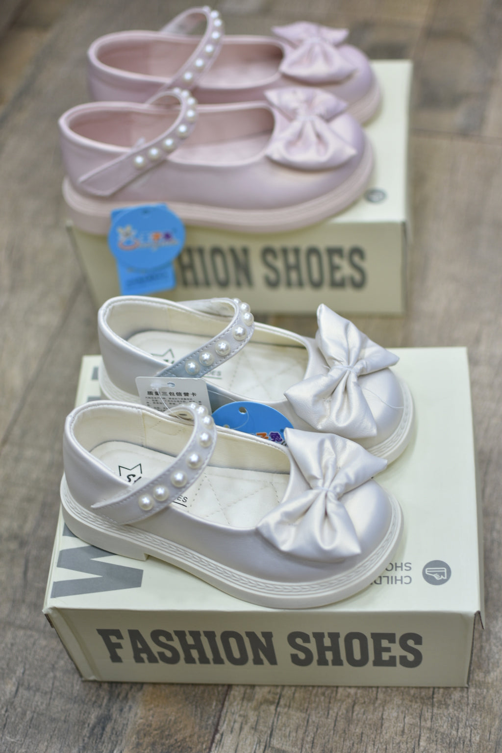 5505papillon